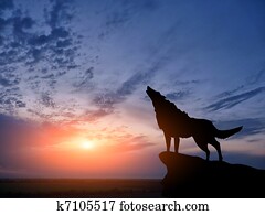 two wolves two wolves