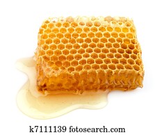 Honey honeycombs Honey honeycombs