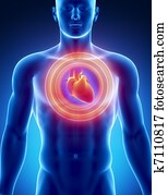 התקפת לב, מושג