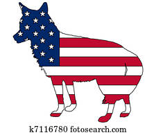 זאב ערבות, ארהב