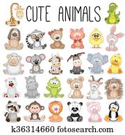 קבע, של, חמוד, בעלי חיים