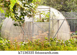 At vegetable gardern At vegetable gardern