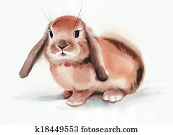 Brown rabbit Brown rabbit