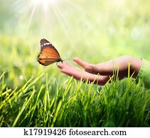 butterfly in hand on grass butterfly in hand on grass