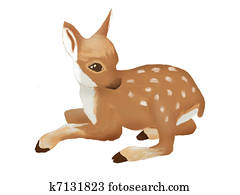 Deer Deer