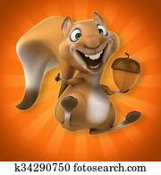 Fun squirrel Fun squirrel