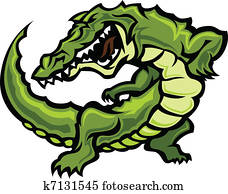 gator, ou, jacaré, mascote, corporal, Vect
