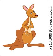 kangaroo with child kangaroo with child