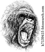 Raging ape illustration Raging ape illustration