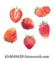 Watercolor strawberry vector set Watercolor strawberry vector set