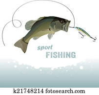 bass fishing bass fishing