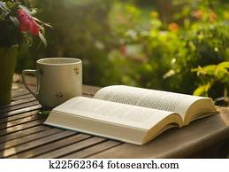 Book Book