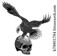 monochromatic Eagle and Skull vector illustration design art