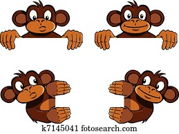 קוף, הסגר, קישוט