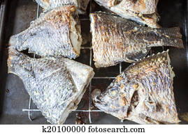 Fresh tilapia baked in an oven.