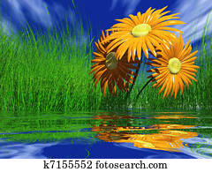 Gerbera daisy with a refection in a lake
