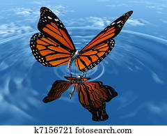 Monarch butterfly landing in water Monarch butterfly landing in water