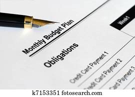 Monthly budget plan