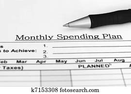 Monthly budget plan