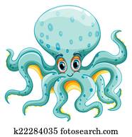 Octopus Octopus