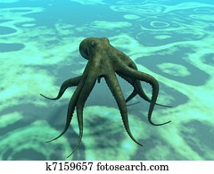 Octopus Octopus
