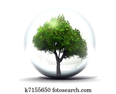 tree in a glass sphere tree in a glass sphere