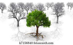 Trees Trees