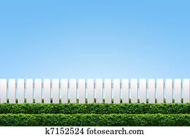White fence and hedge White fence and hedge