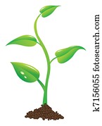 young plant illustration young plant illustration