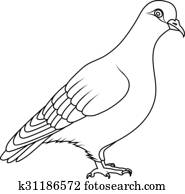 לצבוע, book:, יונה