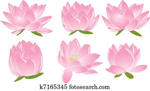 illustration of lotus(waterlily) illustration of lotus(waterlily)