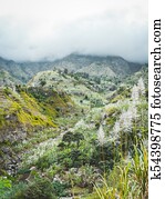 Landscape of vegetation and mountains and some local dwellings of the Paul Valley. Cultivated sugarcane, coffee and mango plants growing along valley. Santo Antao Island, Cape Verde