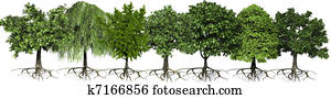 Row of trees Row of trees