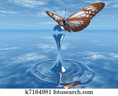 the butterfly the butterfly
