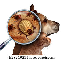 Pet Tick Pet Tick