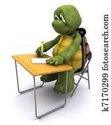 tortoise sat at school desk tortoise sat at school desk