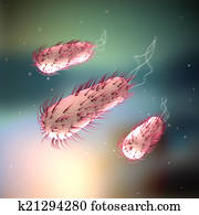 E.coli - Escherichia coli E.coli - Escherichia coli