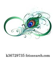 Infinity symbol with peacock feather Infinity symbol with peacock feather