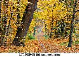herbstliche, park herbstliche, park