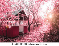 Pink spring (infrared photo) Pink spring (infrared photo)
