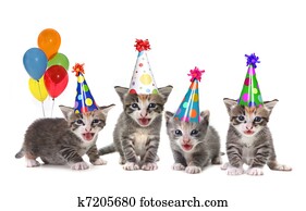 aniversário, canção, cantando, gatinhos, branco, fundo