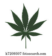 Cannabis Cannabis