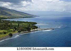 Maui coastline.