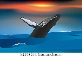 The whale is jumping The whale is jumping