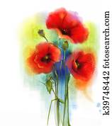 Watercolor red poppy flower painting Watercolor red poppy flower painting