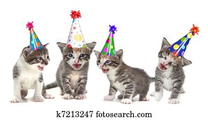 aniversário, canção, cantando, gatinhos, branco, fundo