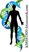 Double Helix DNA Chromosome Strand Human Figure Double Helix DNA Chromosome Strand Human Figure
