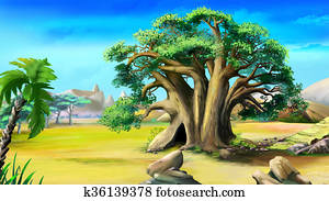 Large African baobab. Day View.