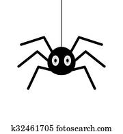 spider spider