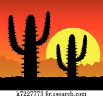 cactus in desert cactus in desert